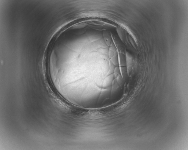 X0000071380983200607071837