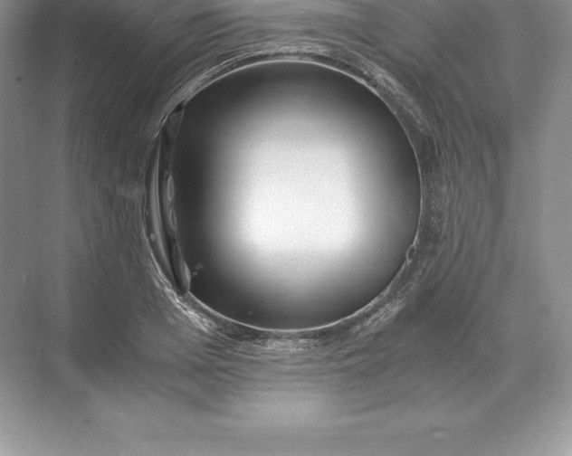 X0000071380985200607071837