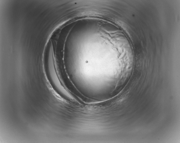 X0000071380987200607071837