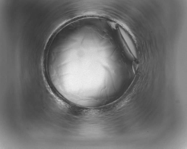 X0000071380991200607071837