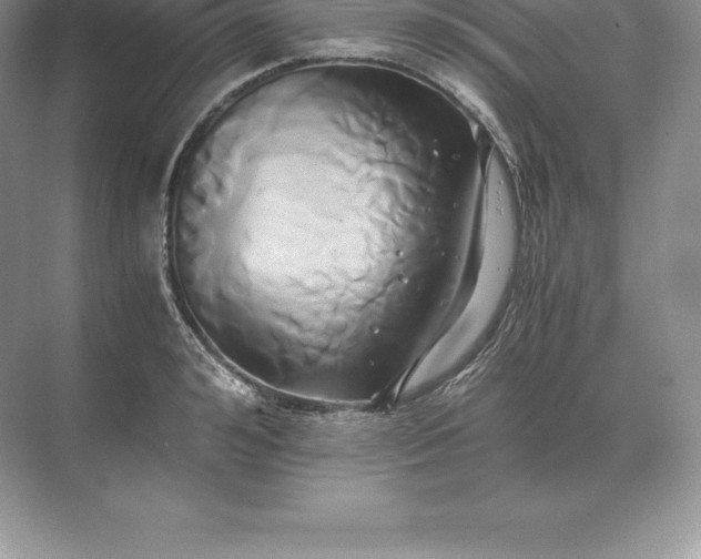 X0000071380992200607071837