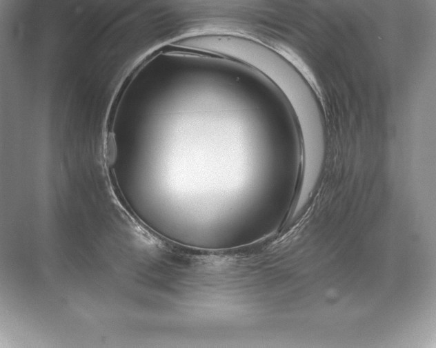 X0000071380996200607071837