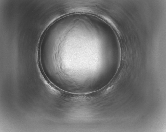 X0000071380999200607071837