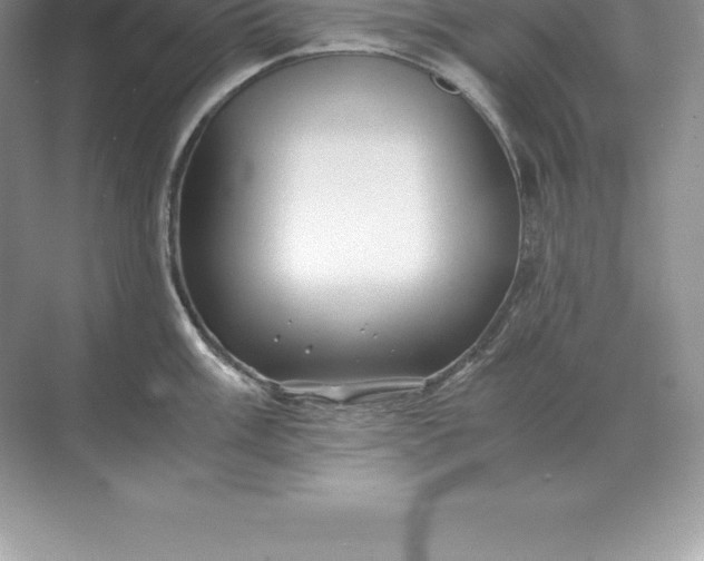 X0000071381003200607071837