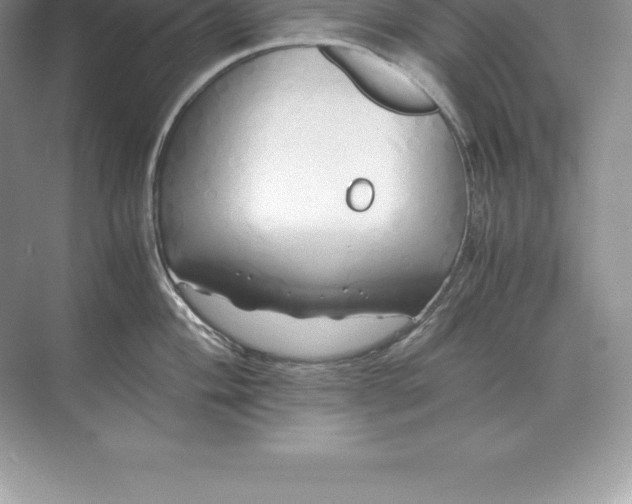 X0000071381004200607071837