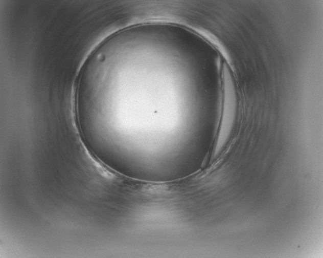 X0000071381006200607071837