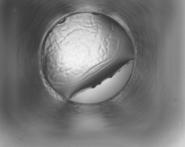 X0000071381008200607071837