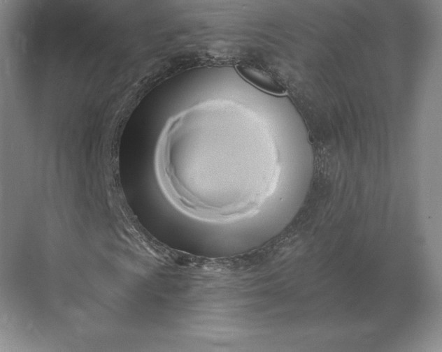 X0000071381009200607071836