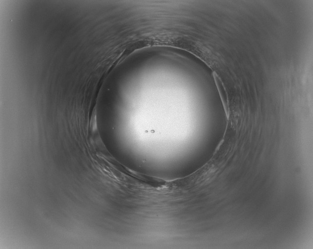 X0000071381010200607071836