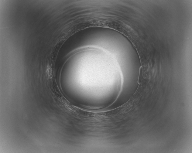 X0000071381013200607071836