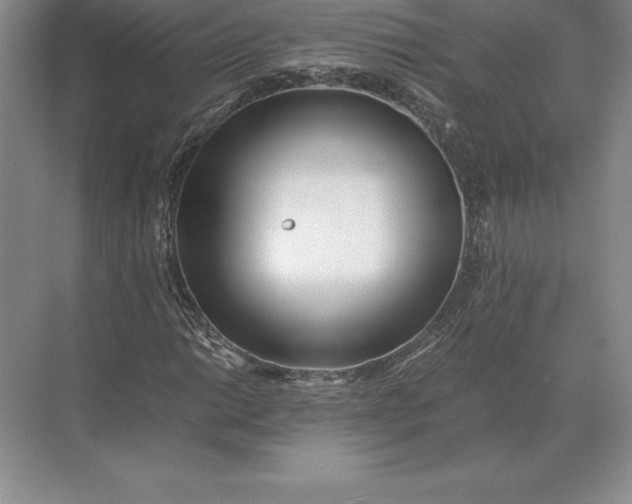 X0000071381014200607071836