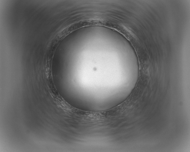 X0000071381015200607071836