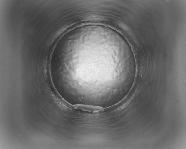 X0000071381017200607071836