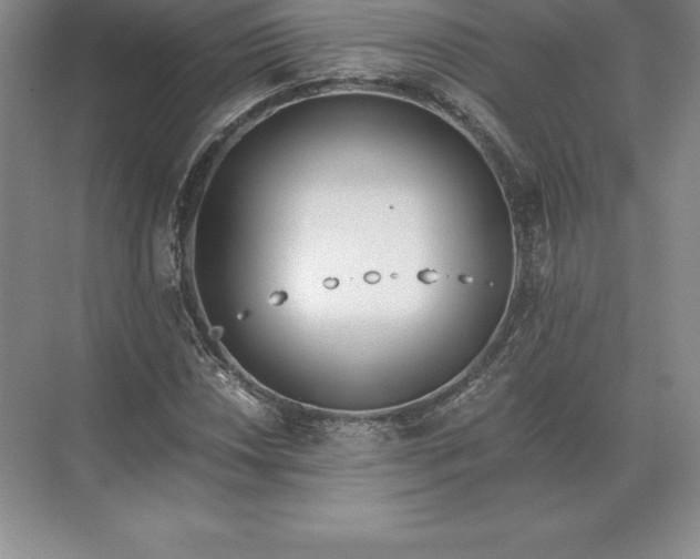 X0000071381018200607071836