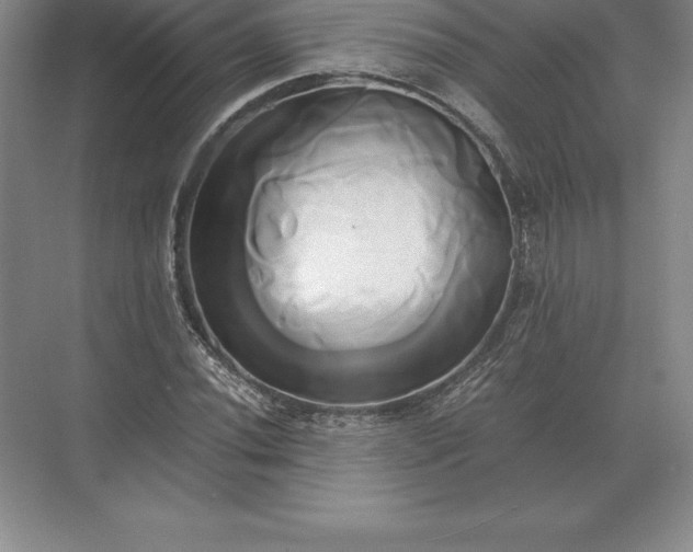 X0000071381020200607071836