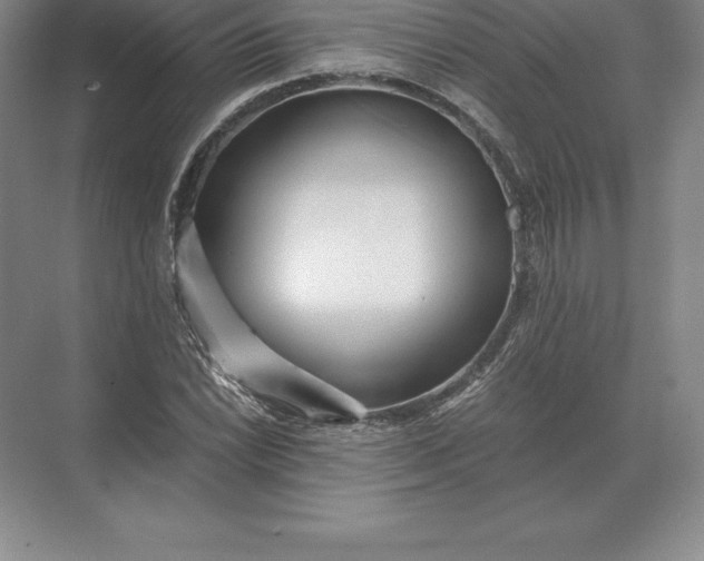 X0000071381022200607071836