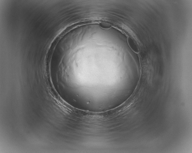 X0000071381023200607071836