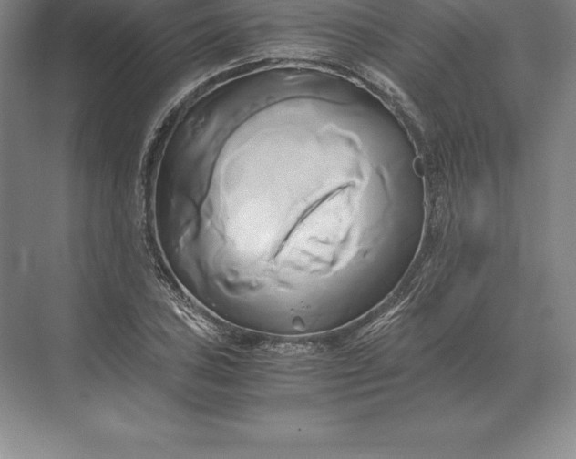 X0000071381027200607071836