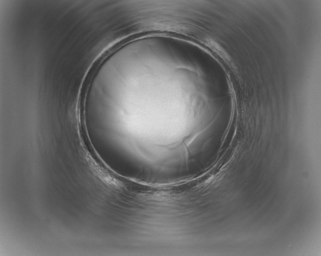 X0000071381028200607071836