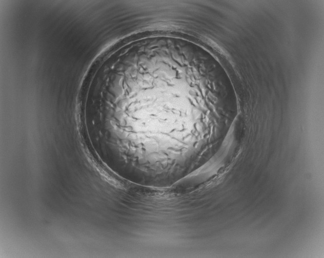 X0000071381029200607071836