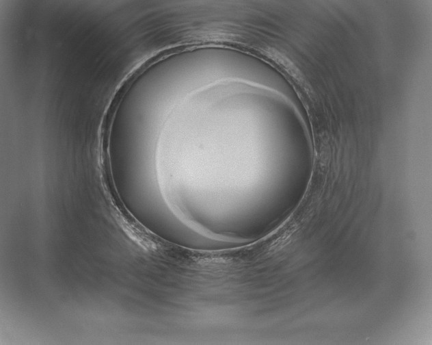 X0000071381031200607071836