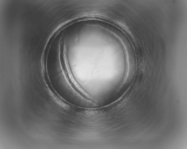 X0000071381032200607071836