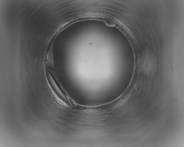 X0000071381033200607071836