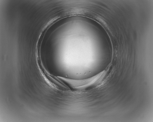 X0000071381034200607071836