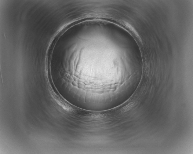 X0000071381035200607071836