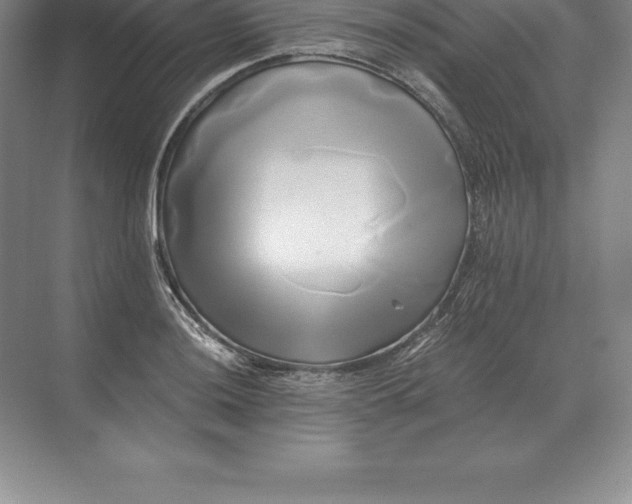 X0000071381036200607071836