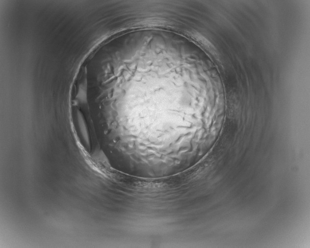 X0000071381039200607071836