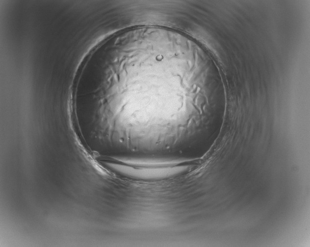 X0000071381040200607071836