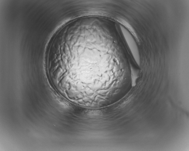 X0000071381043200607071836