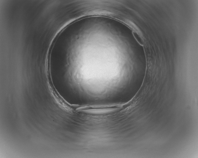 X0000071381044200607071836