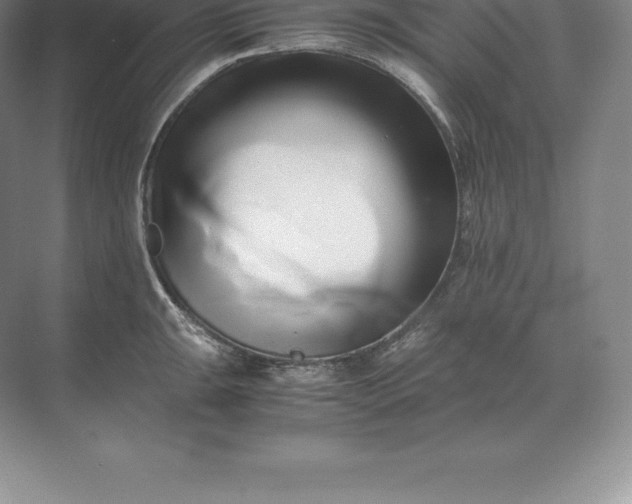 X0000071381047200607071836