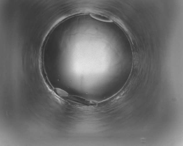 X0000071381048200607071836