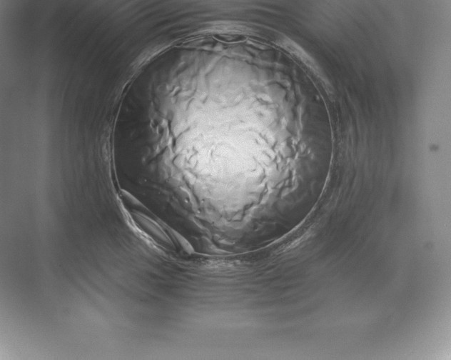 X0000071381049200607071836