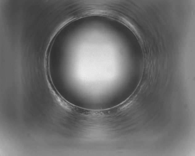 X0000071381050200607071836