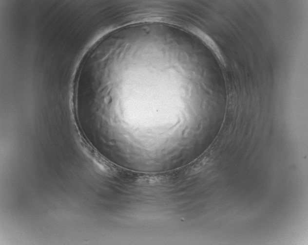 X0000071381051200607071836