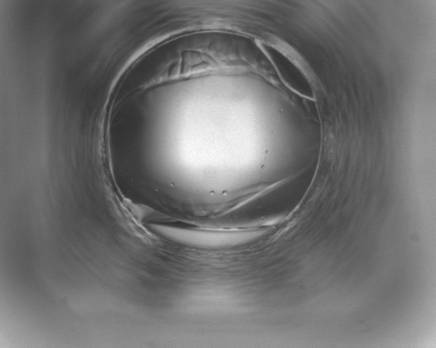 X0000071381052200607071836