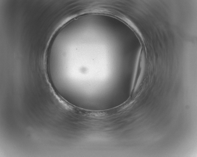 X0000071381053200607071836