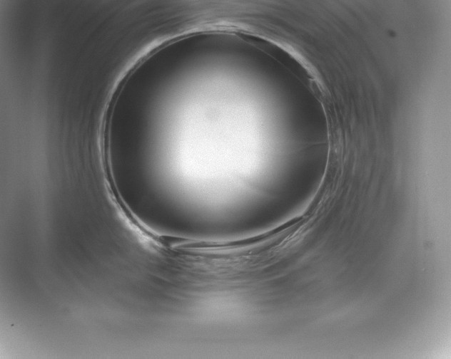 X0000071381054200607071837