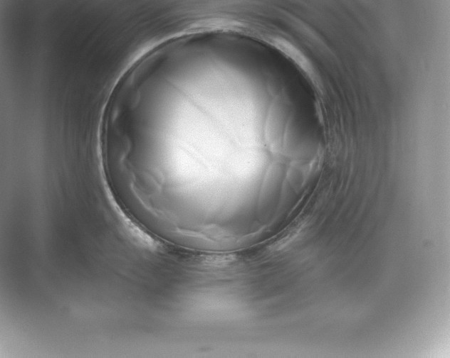 X0000071381055200607071837