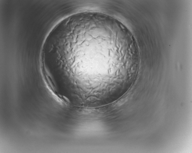 X0000071381056200607071837