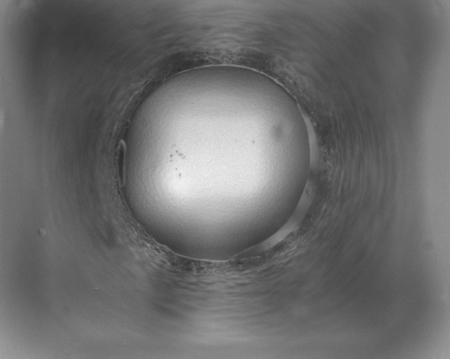 X0000071381057200607071836