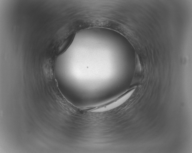 X0000071381058200607071836