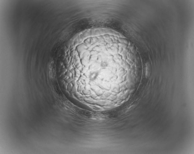 X0000071381059200607071836