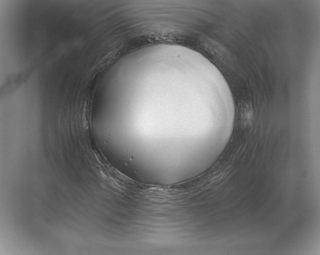 X0000071381060200607071836