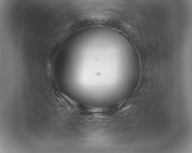 X0000071381061200607071836