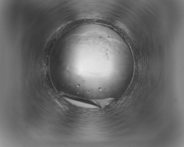 X0000071381064200607071836